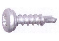 Vis de plaque d'immatriculation 20 pièces 5,0X19 mm