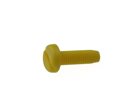 Vis de plaque d'immatriculation en plastique 20 pièces M6X20 mm