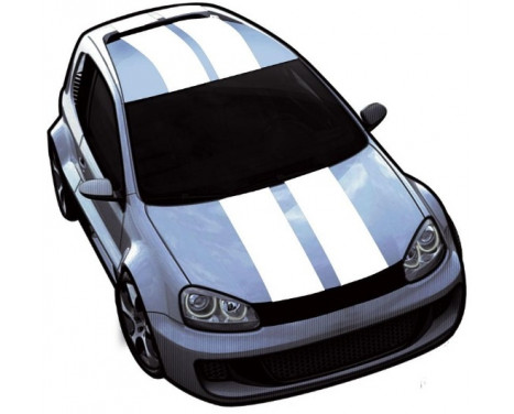 ViperStripes blanc - set de 2 pièces - longueur 500 cm / largeur 10 cm ViperStripes blanc - set de 2 pièces - longueur 500 cm / largeur 10 cm