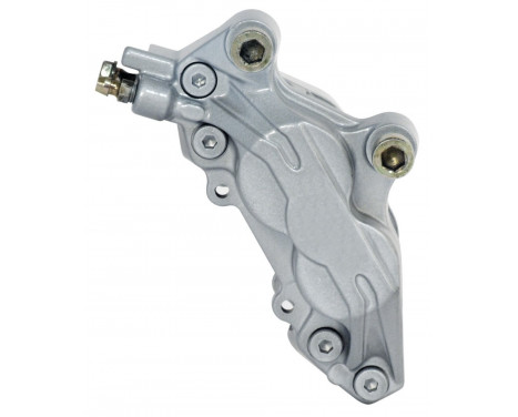 Caliper paint Silver, Vignette 3 Caliper paint Silver, Vignette 3