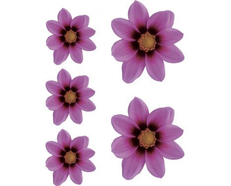 Sticker jardin de fleurs - rose - 2x 16x15cm + 3x 8.5x8cm