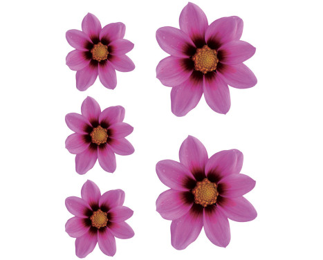 Sticker jardin de fleurs - rose - 2x 16x15cm + 3x 8.5x8cm, Image 2