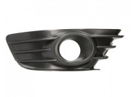 GRILLE DE PARE-CHOC DROIT SOUS AVEC TROU POUR FEUX ANTI-BROUILLARD, sans PDC [pas pour (Grand) Picasso]