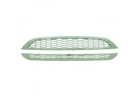 Grille de radiateur HD Tuning