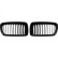 Grille de radiateur HD Tuning