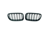 Grille de radiateur HD Tuning