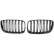 Grille de radiateur HD Tuning