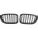 Grille de radiateur HD Tuning