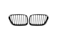 Grille de radiateur HD Tuning