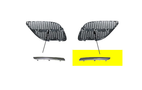Grille de radiateur