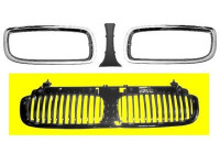 Grille de radiateur