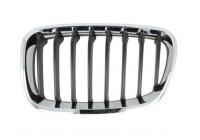 Grille de radiateur