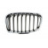 Grille de radiateur