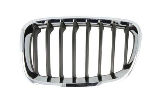 Grille de radiateur