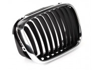 Grille de radiateur