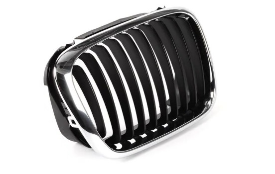 Grille de radiateur