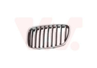Grille de radiateur