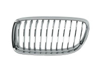 Grille de radiateur