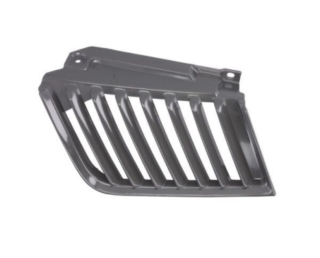 Grille de radiateur