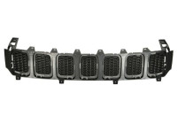 Grille de radiateur