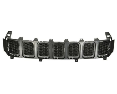 Grille de radiateur