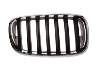 Grille de radiateur