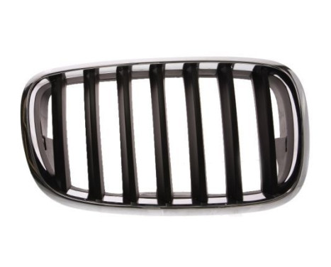 Grille de radiateur