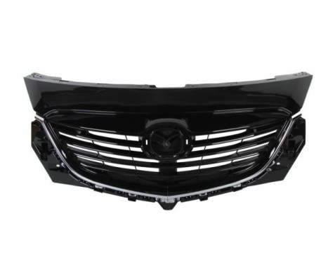 Grille de radiateur