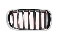 Grille de radiateur