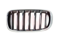 Grille de radiateur
