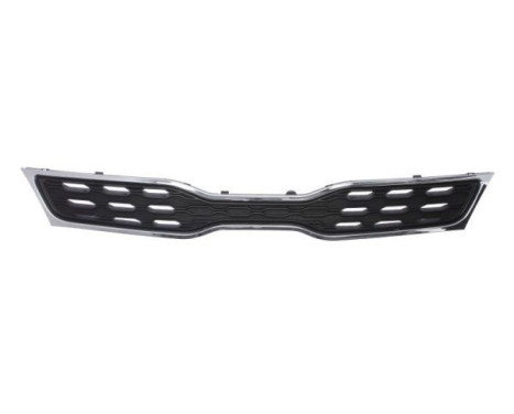 Grille de radiateur