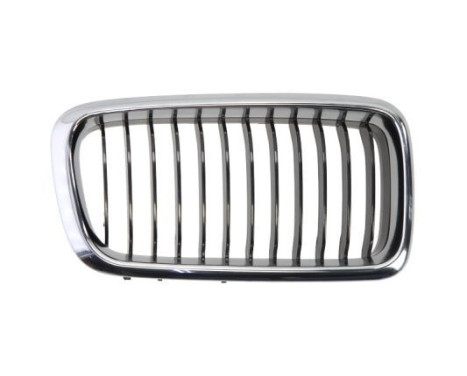 Grille de radiateur