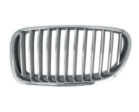 Grille de radiateur