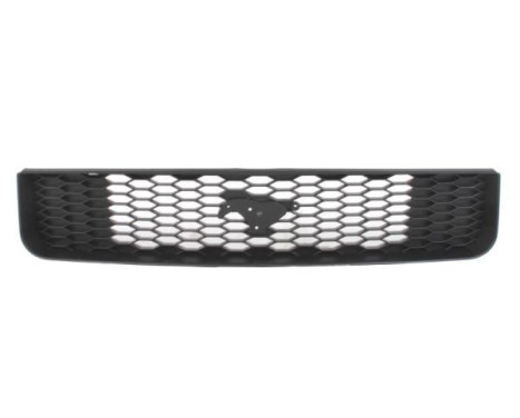 Grille de radiateur
