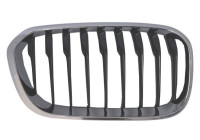 Grille de radiateur