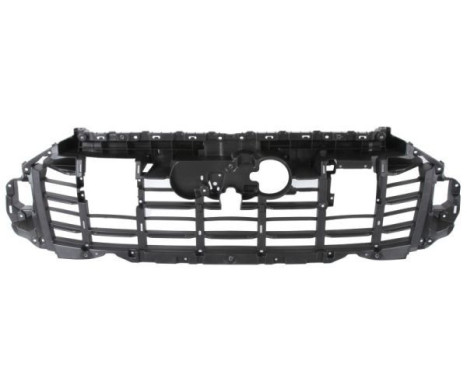 Panneau décoratif/de protection, grille de radiateur