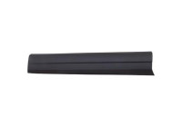 Panneau décoratif/de protection, porte
