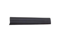 Panneau décoratif/de protection, porte