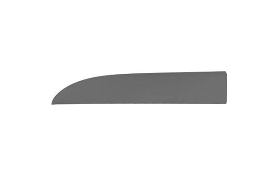 Panneau décoratif/de protection, porte