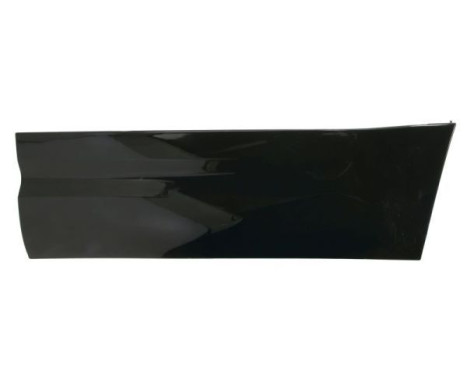 Panneau décoratif/de protection, porte