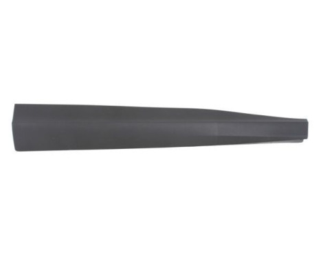 Panneau décoratif/protecteur, porte