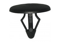 Capuchon OEM: b45556741 - 5 pièces