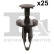 Clip, bande décorative/protectrice