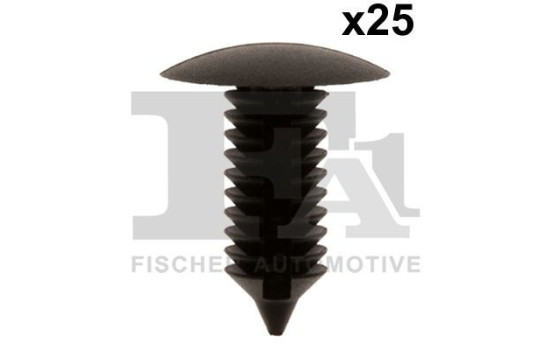Clip, bande décorative/protectrice
