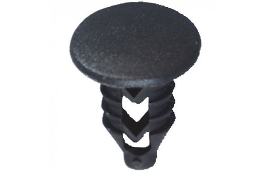 Clip de sapin OEM: 4292906 - 20 pièces