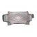 Plaque de protection du moteur Diesel, Vignette 2