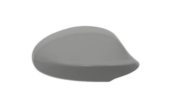 Couverture, rétroviseur extérieur 1216028 Diederichs
