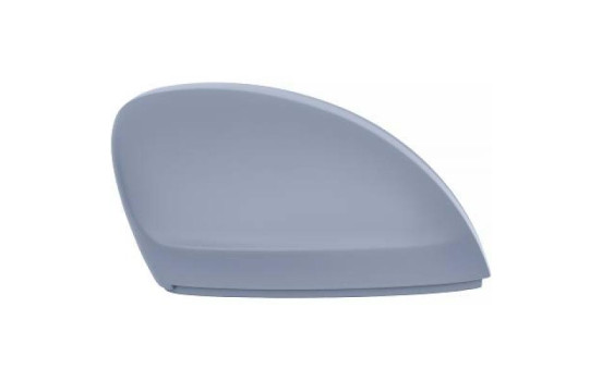 Couverture, rétroviseur extérieur 2256228 Diederichs
