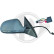 Rétroviseur extérieur 1018225 Diederichs, Vignette 2