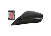 Rétroviseur extérieur 1530025 Diederichs